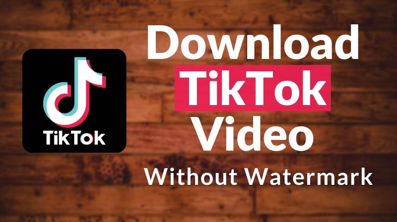You are currently viewing <strong>How to Download TikTok Videos Without Watermark with Snaptiktok</strong>