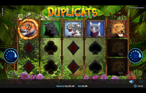 Read more about the article Duplicats Slot Machine: 95% RTP (Realistic Games)